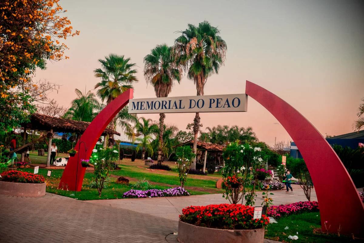 Barretos Festa do Peão thumbnail 7