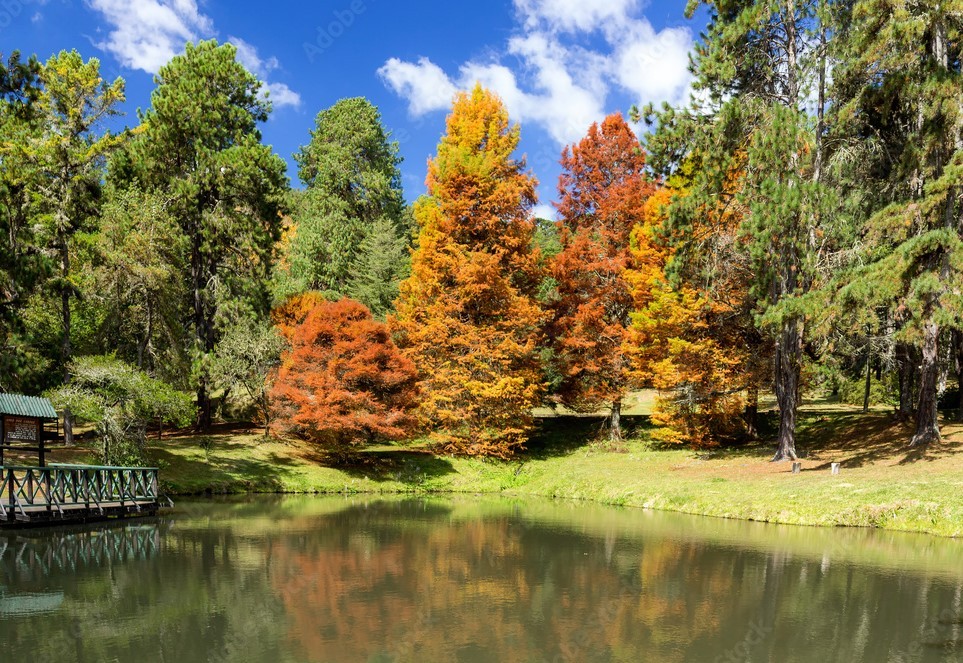 Campos do Jordao thumbnail 6